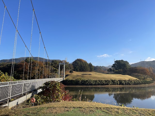 Kaho Golf Club - Photo 6