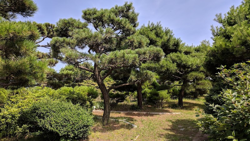 울산테마식물수목원 장미원 사진 7