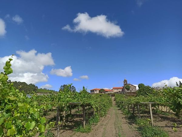 TERRAS DE COMPOSTELA C.B. photo 1