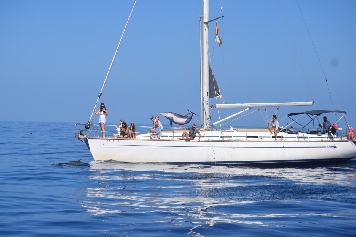 Sunset Cruise in Costa Adeje