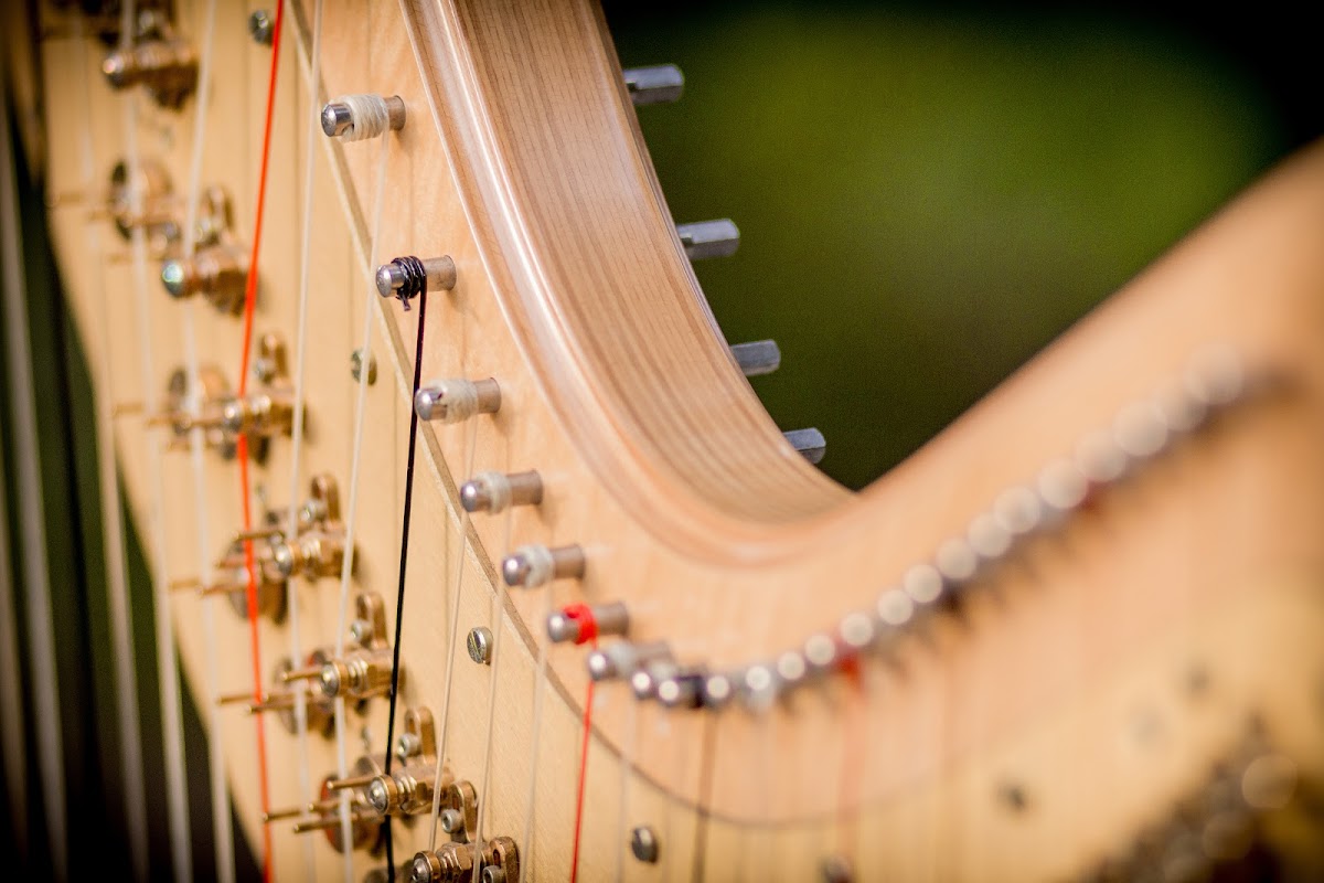 Musically Yours: Google Places image 5