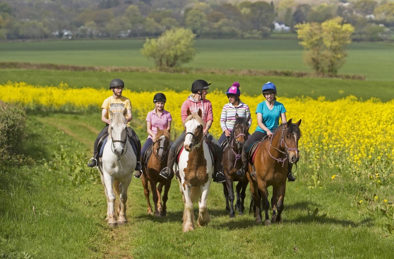 Llangorse Multi-Activity Centre