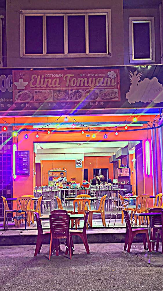 Elina Tomyam - Photo 1