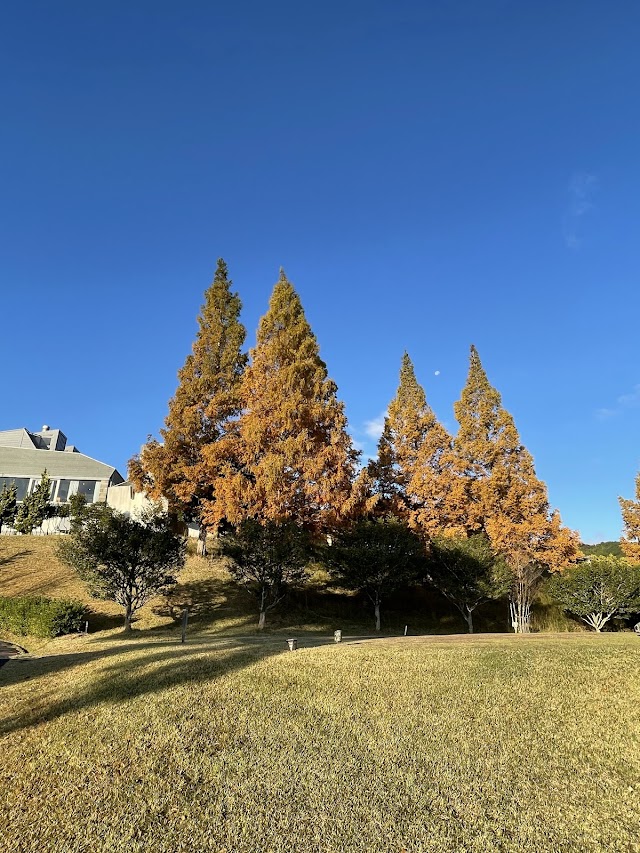 Asan Golf Club - Photo 4