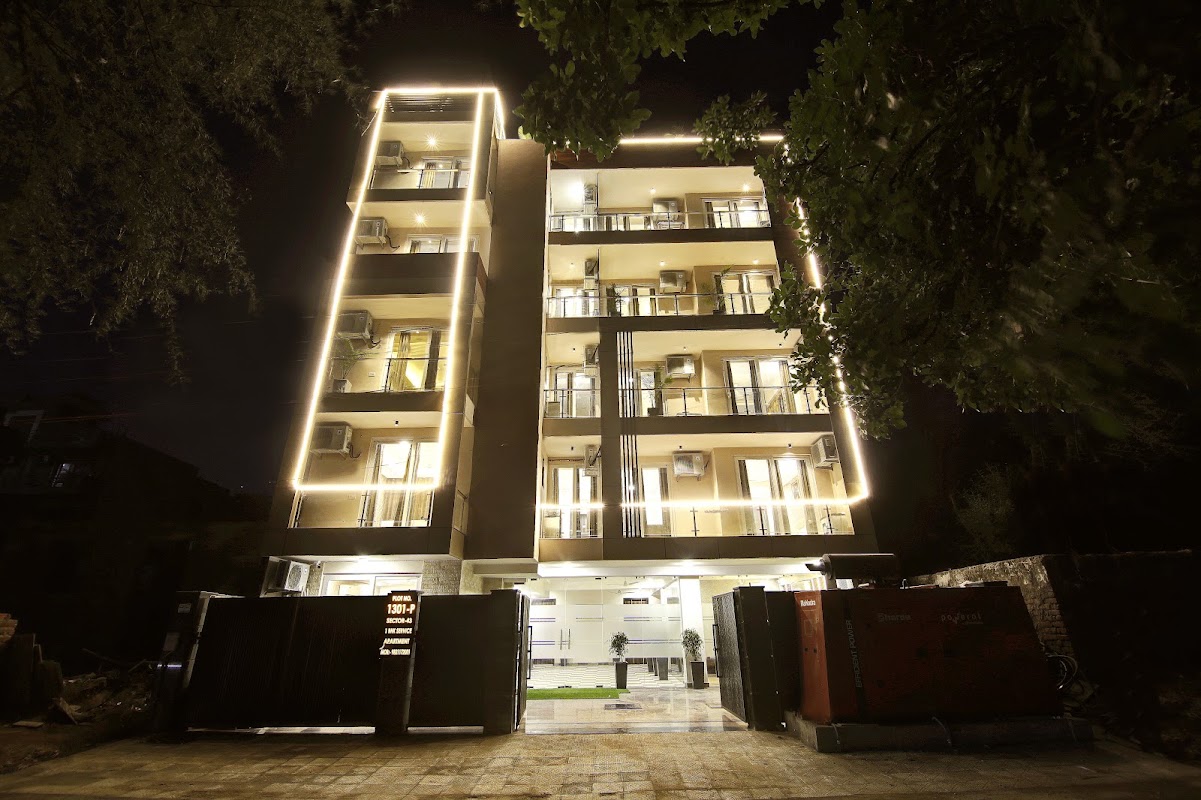 Limewood Stay Silver Studio