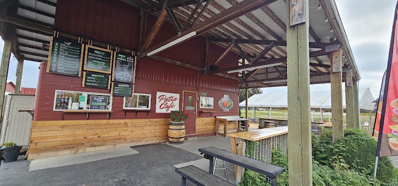 The Patio Café photo 3