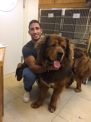 ד''ר מיכאל וטרינר עד הבית