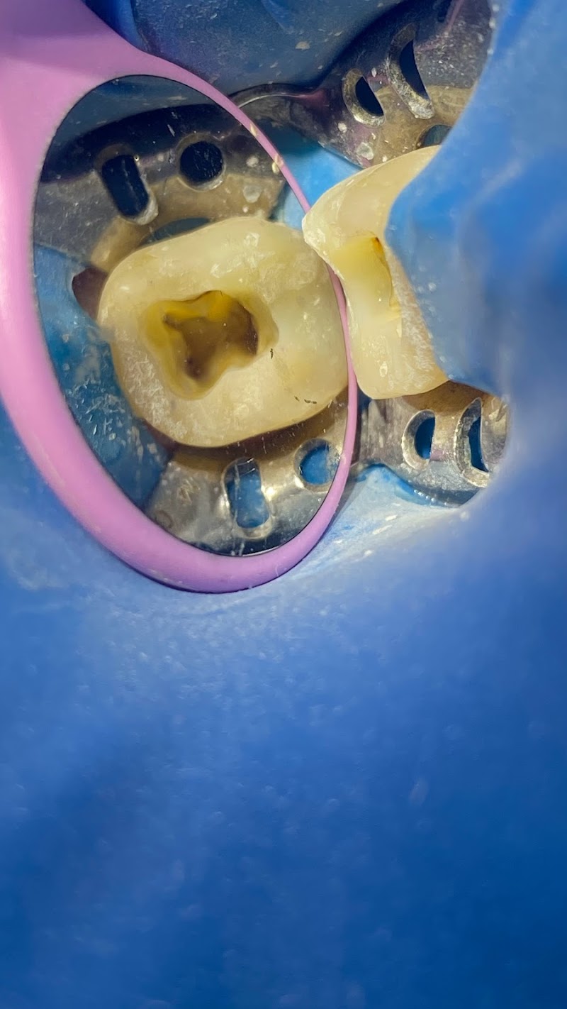 Dra Natasha Ajuz - foto 4