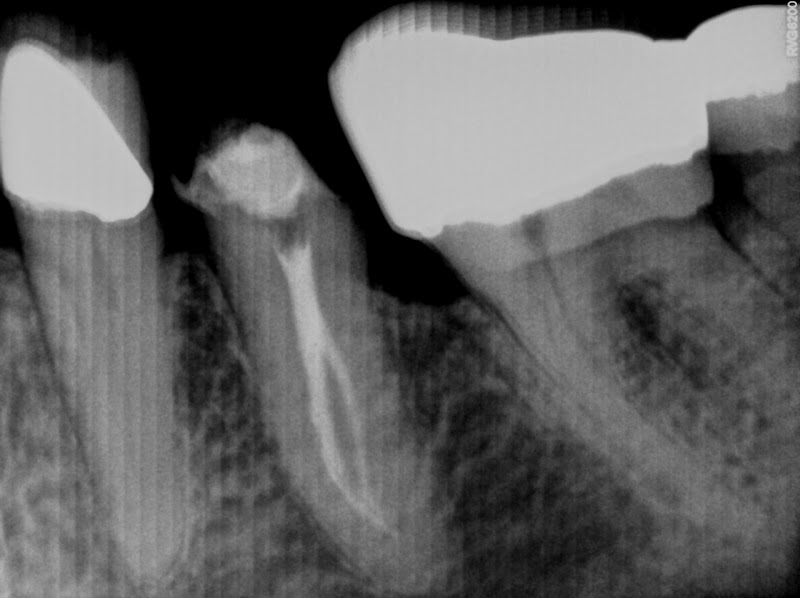 Dra Natasha Ajuz - foto 5