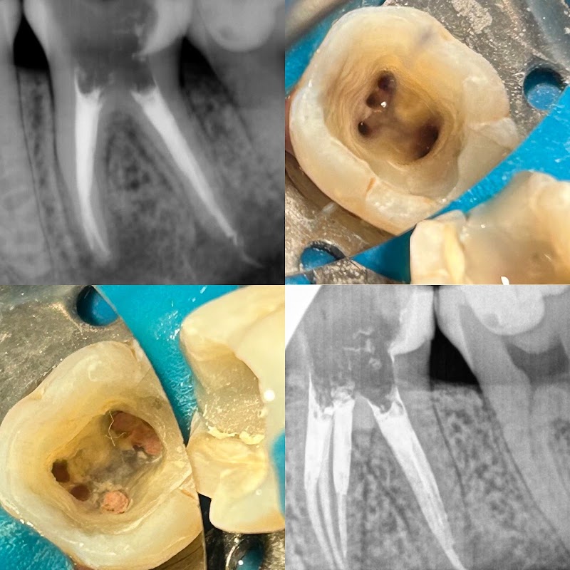 Dra Natasha Ajuz - foto 2