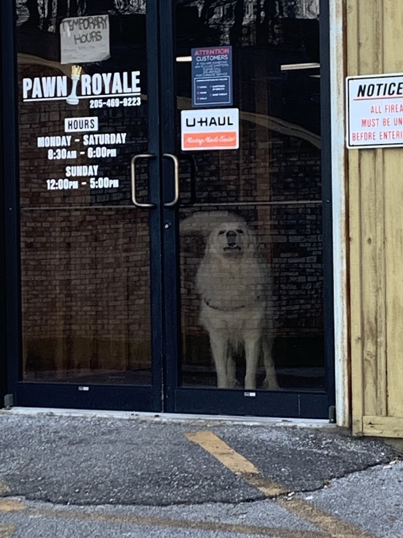 Pawn Royale photo