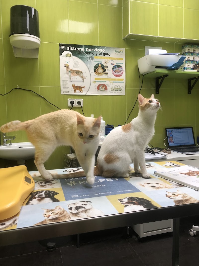 Clínica Veterinaria Sarriguren