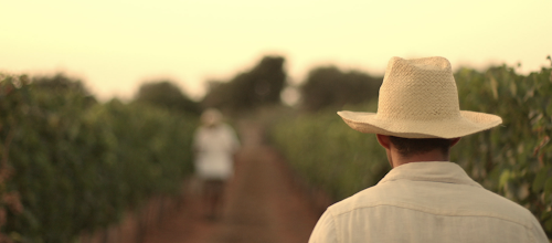 Bodegas Torralbenc - Bodegas Menorca