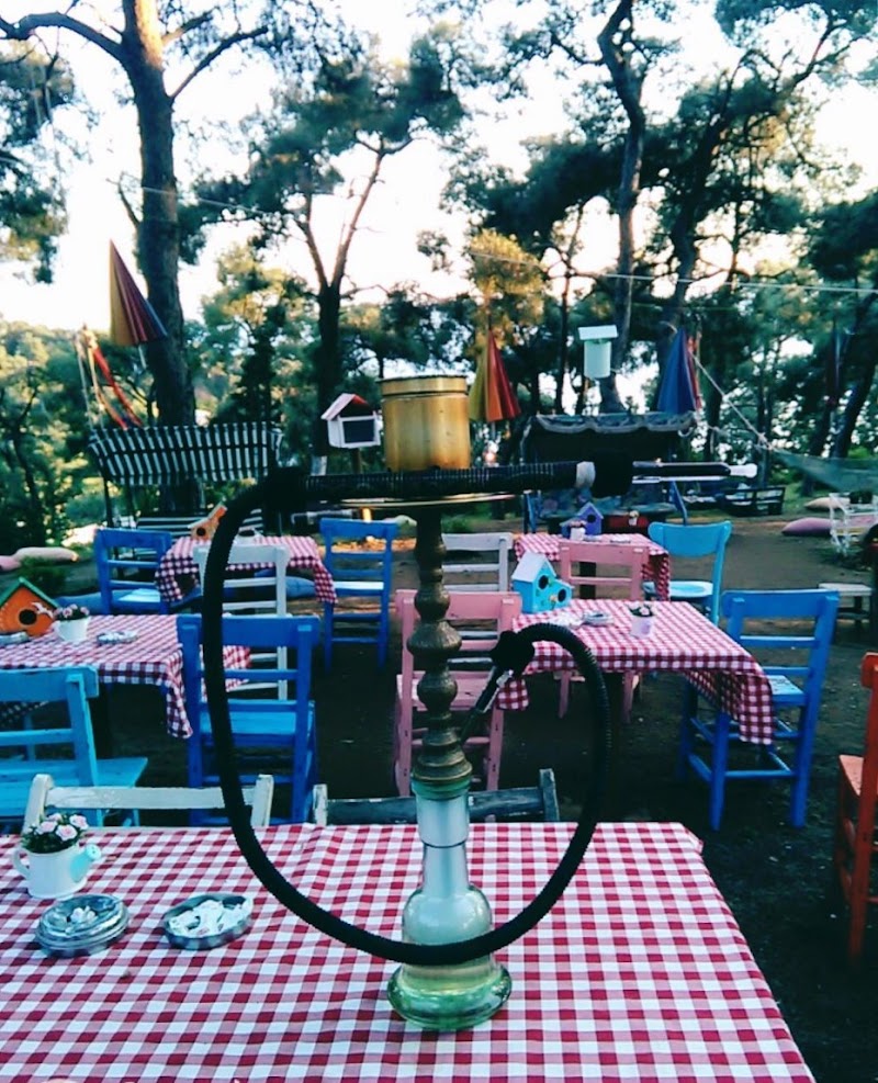 AŞIKLAR ADABAHÇE CAFE - Adalar Kafe