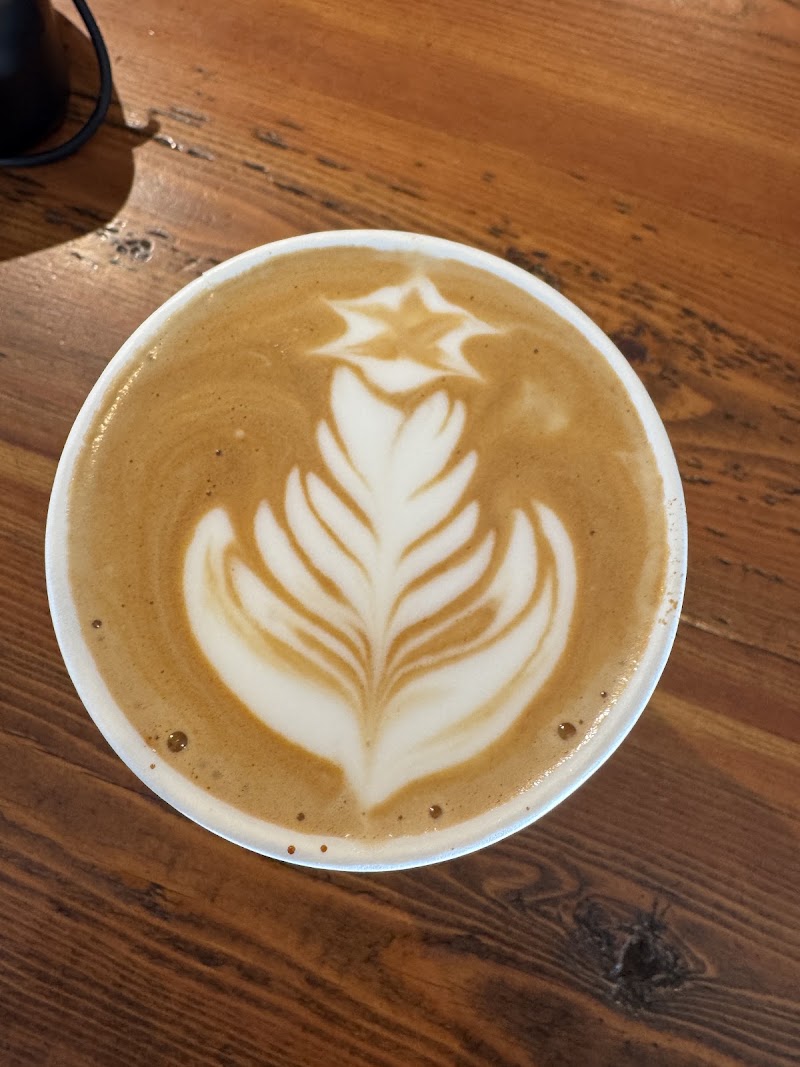 Crooked Tree Coffee Downtown photo 3
