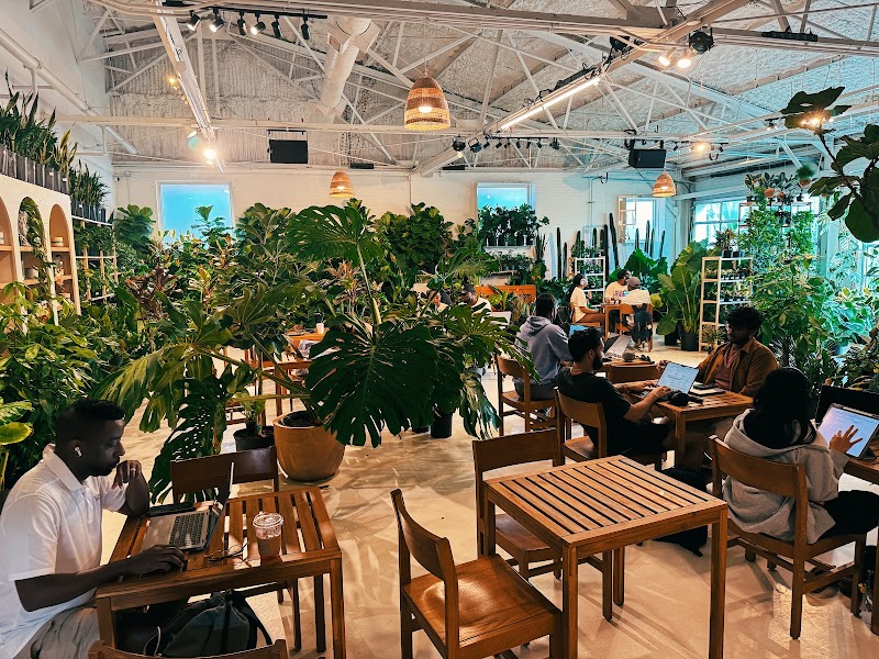 Eden Plant Co. photo 5