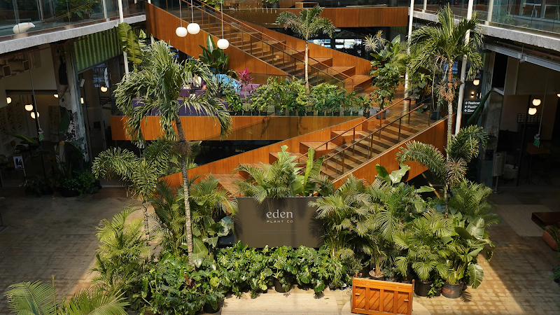 Eden Plant Co. photo 1