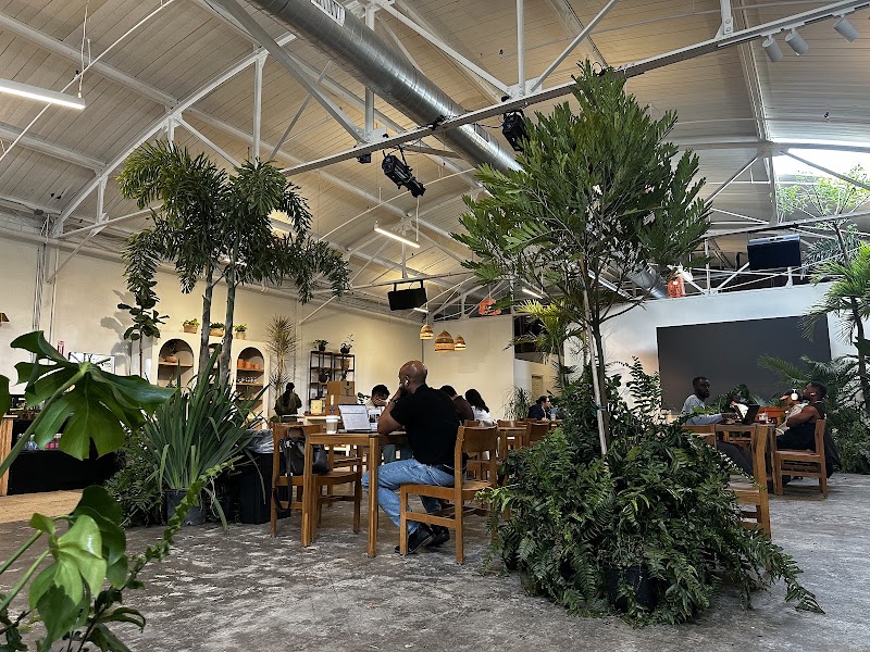 Eden Plant Co. photo 4