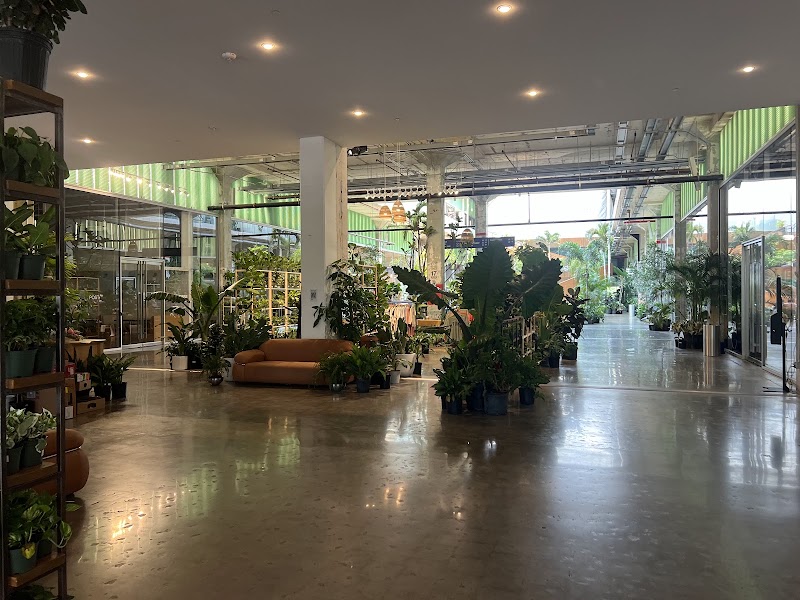 Eden Plant Co. photo 1