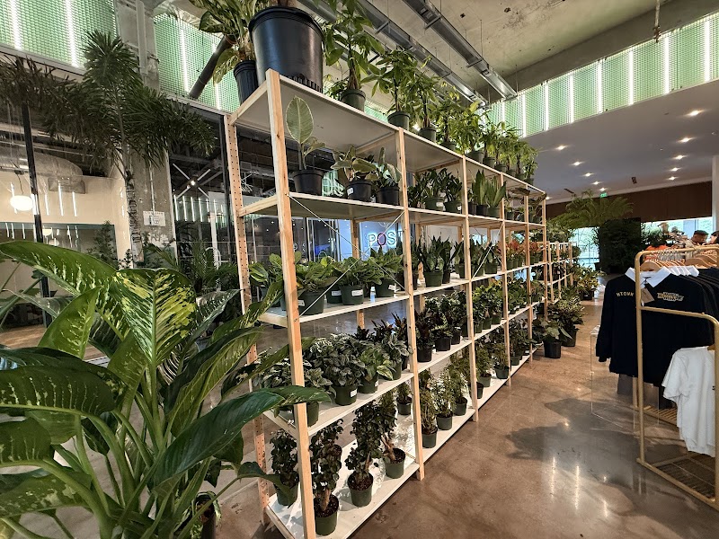 Eden Plant Co. photo 2
