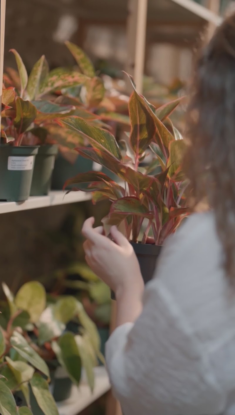 Eden Plant Co. photo 4
