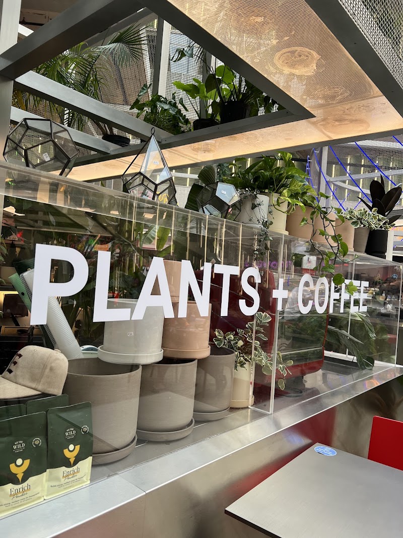 Eden Plant Co. photo 3