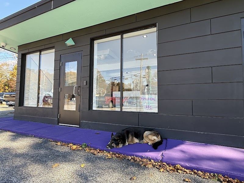 Video tour of Purple Co. retail environment