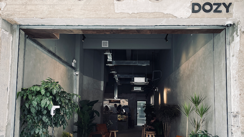 DOZY