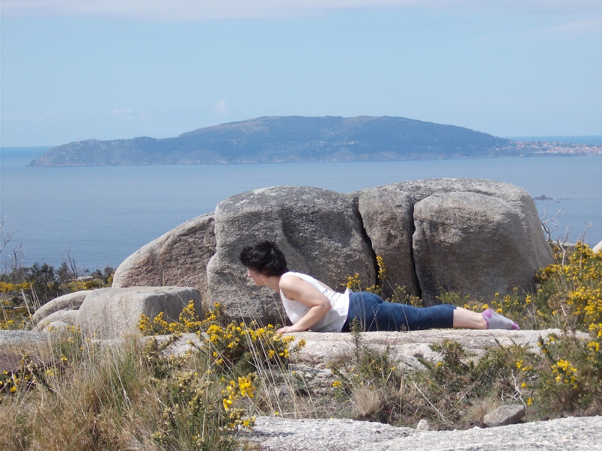 Flor de Tila Yoga Coruña — 4