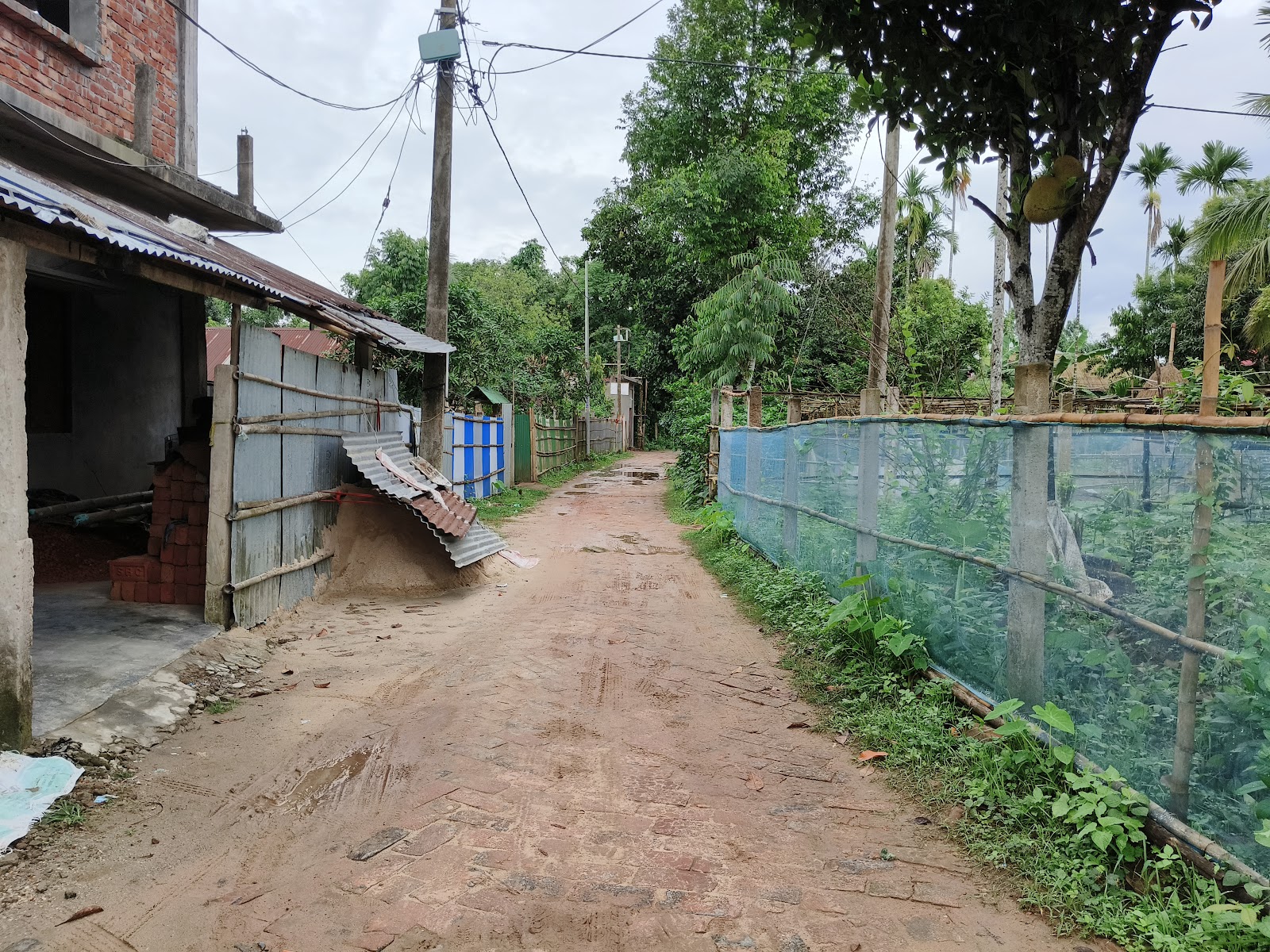Anirban Das Google photo 1