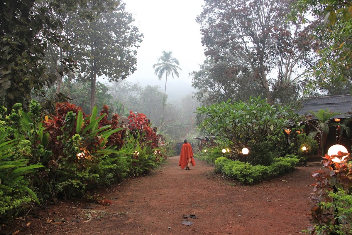 SWAN Yoga Retreat | Yoga Teacher Training in Goa | Yoga Retreat in goa