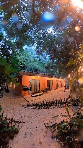 Zeneidas Surf Garden