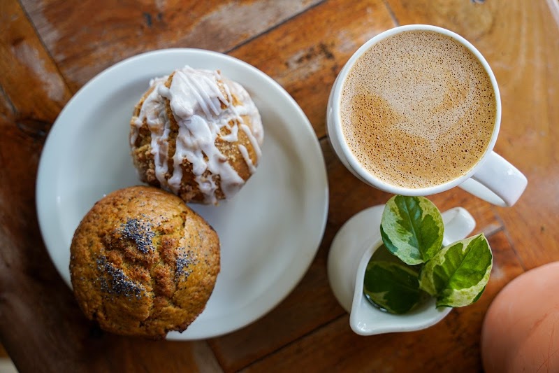 the root cafe photo 2