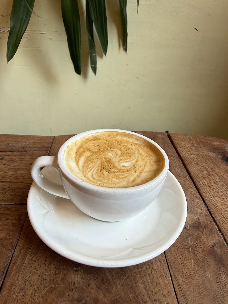 the root cafe photo 4