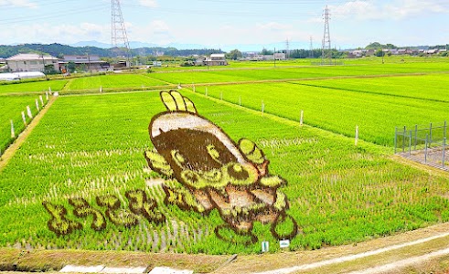 うしかい田んぼアート