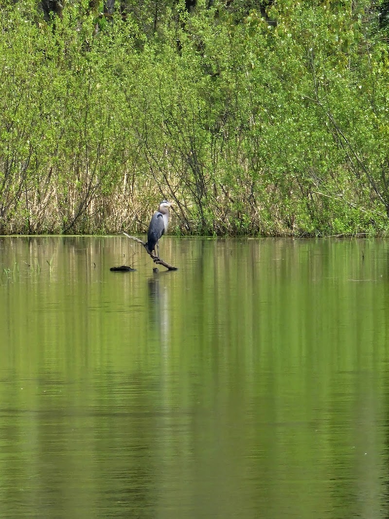E.E. Wilson Wildlife Area - Oregon Department of Fish and Wildlife - Photo 2