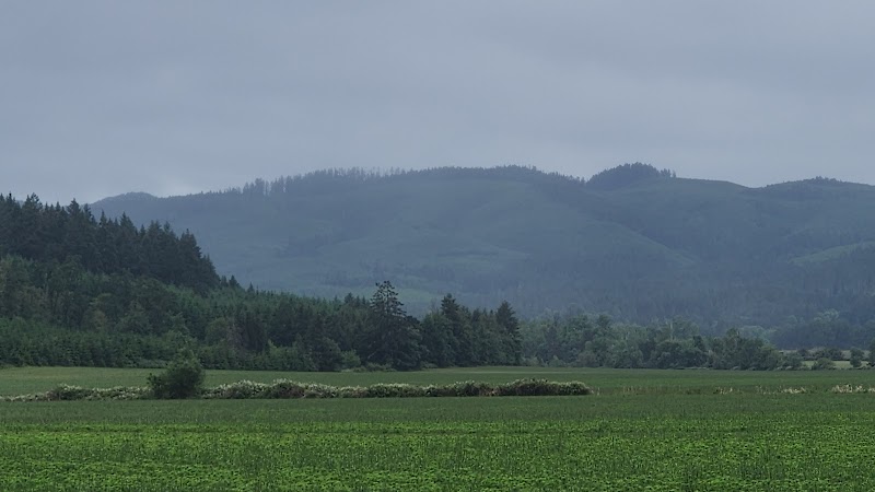 E.E. Wilson Wildlife Area - Oregon Department of Fish and Wildlife - Photo 5