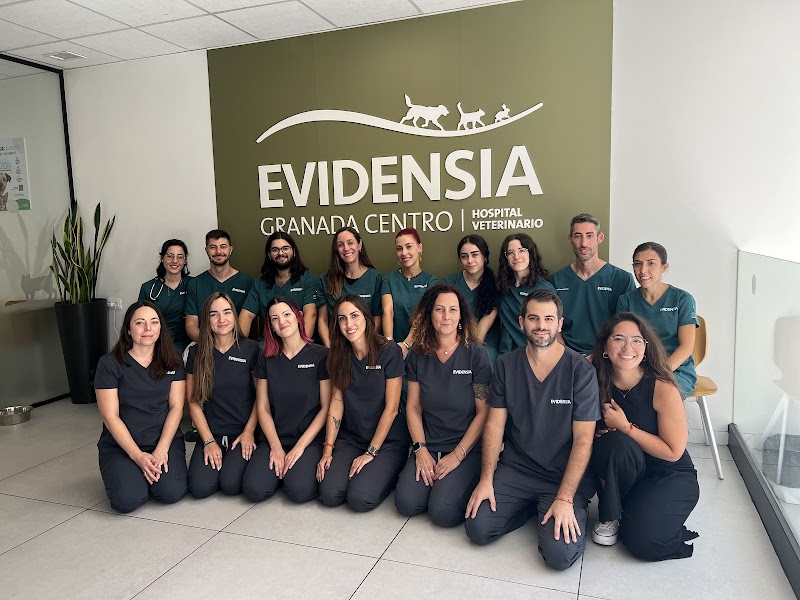 Evidensia Granada Centro Hospital Veterinario
