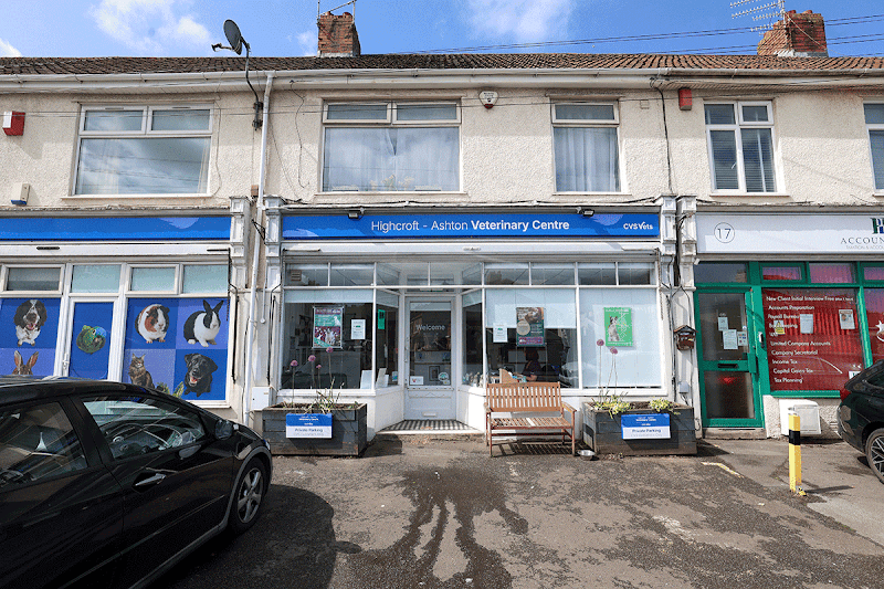 Highcroft Veterinary Centre – Ashton in Bristol