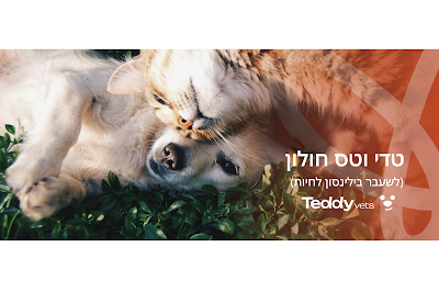 טדי וטס חולון (לשעבר בילינסון לחיות)