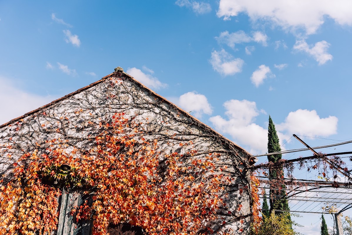 Quinta do Ameal - Wine & Tourism Terroir