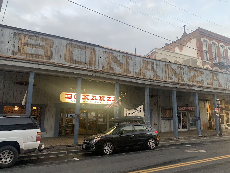 The Bonanza Saloon & Cafe photo 1