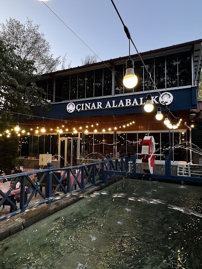Çınar Alabalık - Restoran