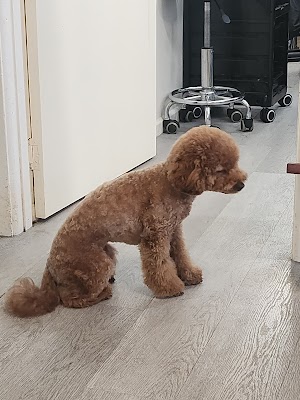 Jimmyhair studio photo 2