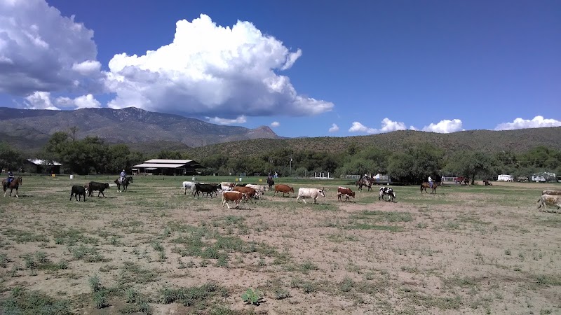 Bumble Bee Ranch Adventures - Photo 3