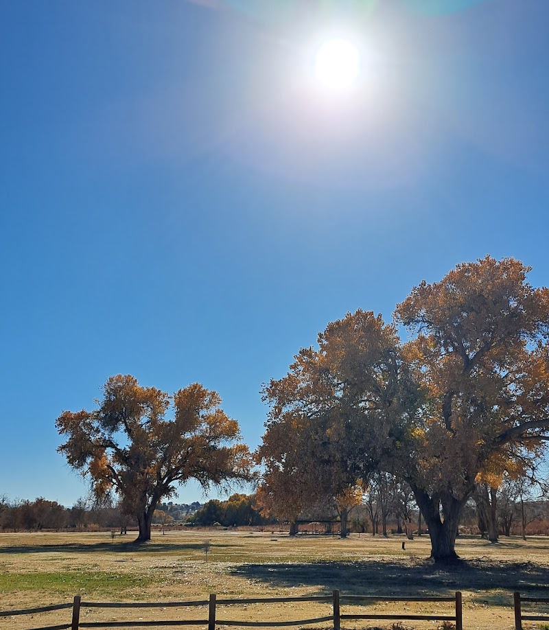 Mojave Narrows Regional Park photo 5