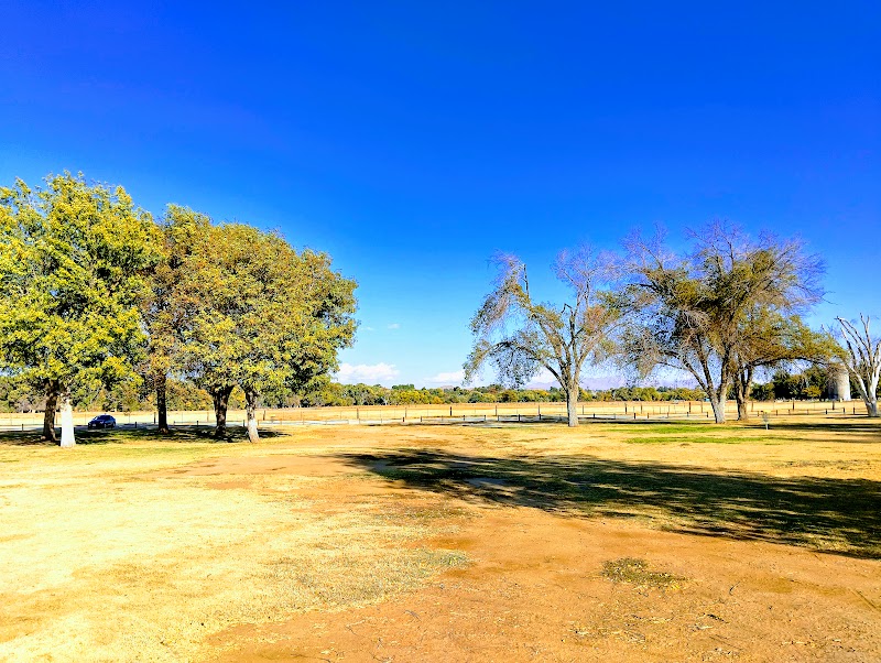 Mojave Narrows Regional Park photo 3