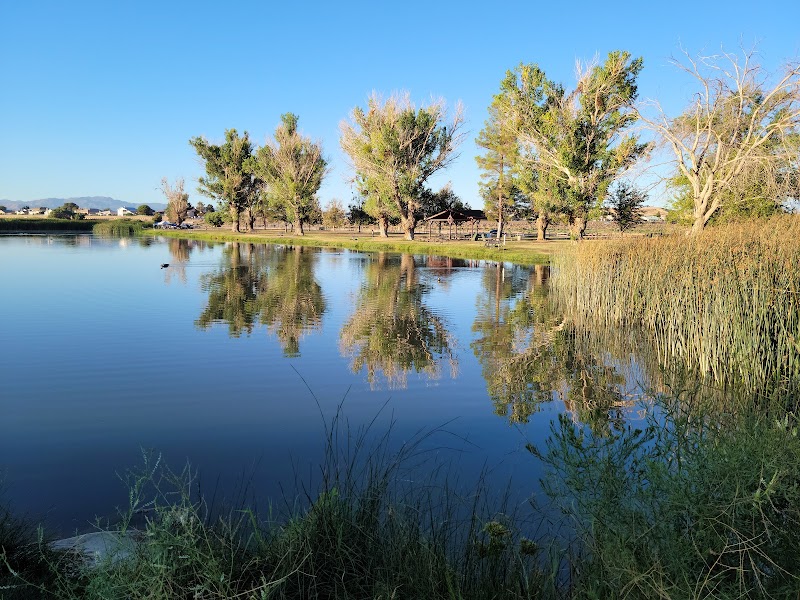 Mojave Narrows Regional Park photo 1