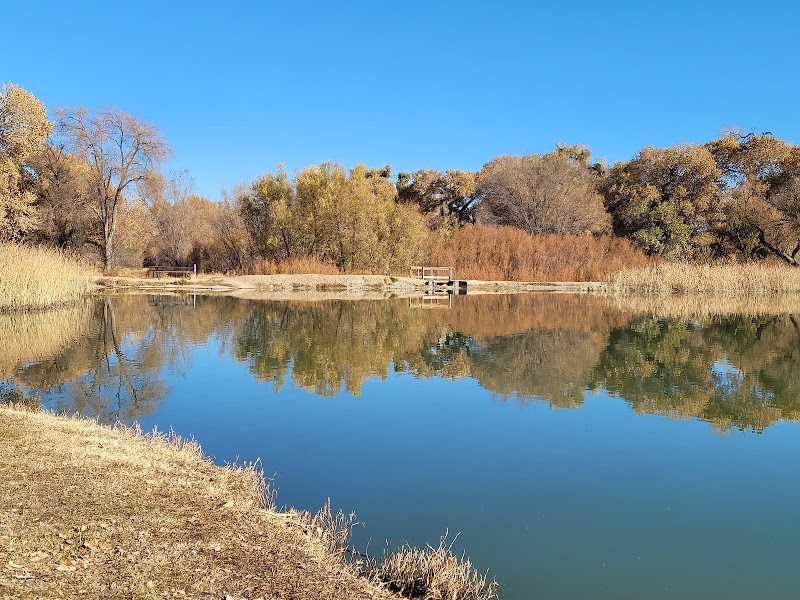 Mojave Narrows Regional Park photo 2