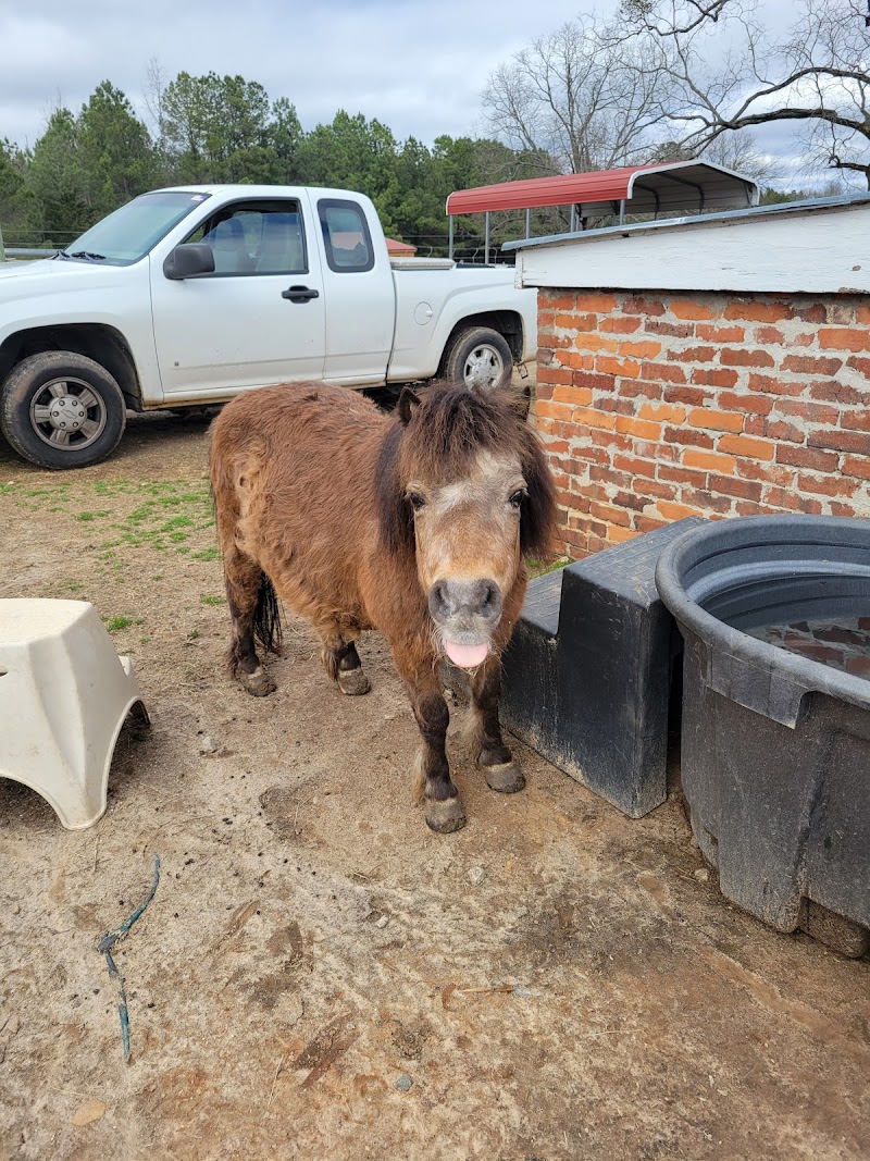 Big Oaks Rescue Farm Large Animals Only - Photo 1
